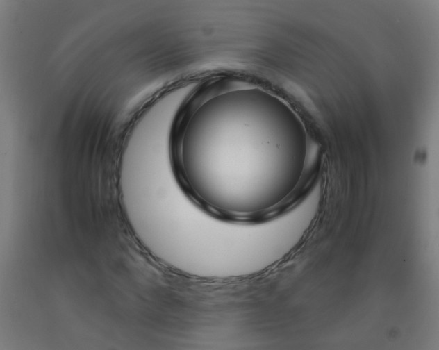 X0000092310872200709281344