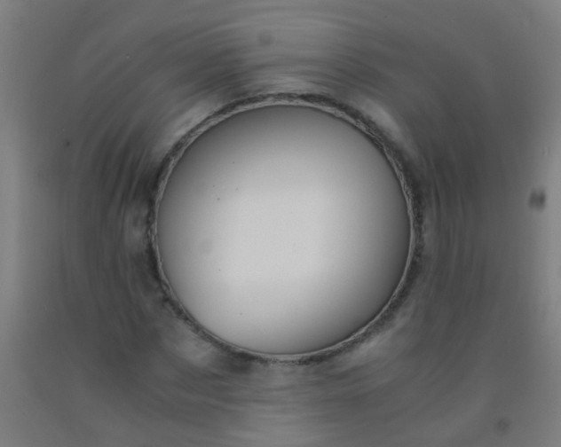 X0000092310873200709281344