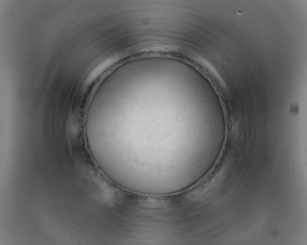 X0000092310874200709281344