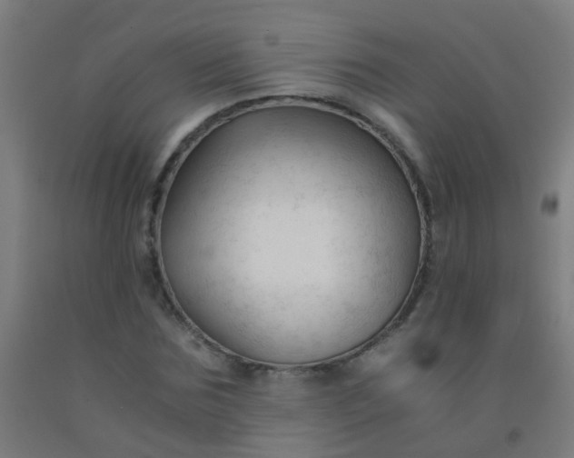 X0000092310875200709281344