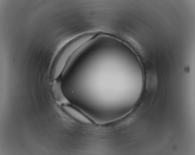 X0000092310876200709281344