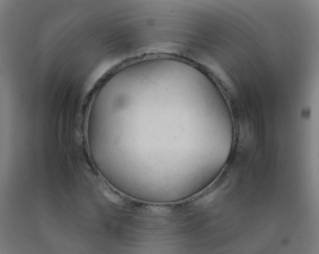X0000092310878200709281344