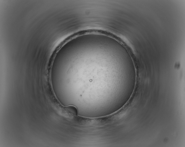 X0000092310879200709281344
