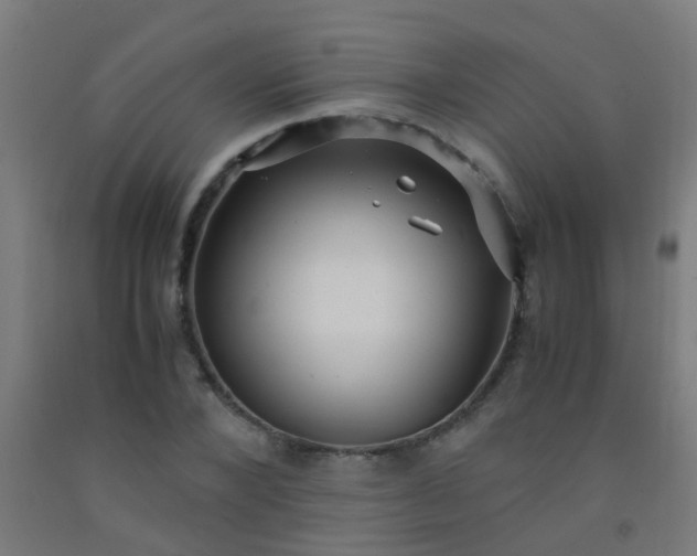 X0000092310880200709281344