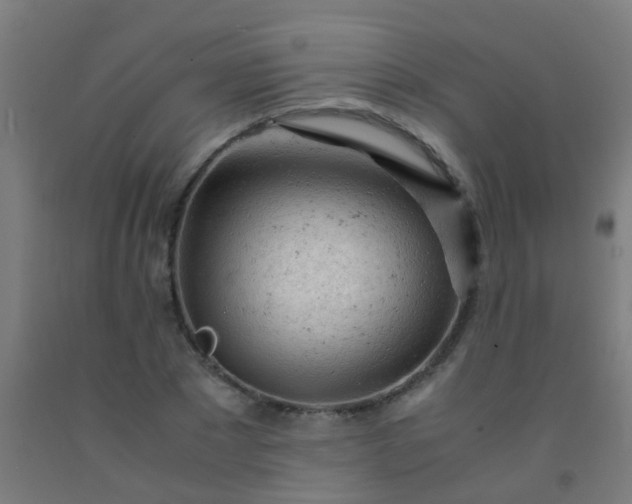 X0000092310881200709281344