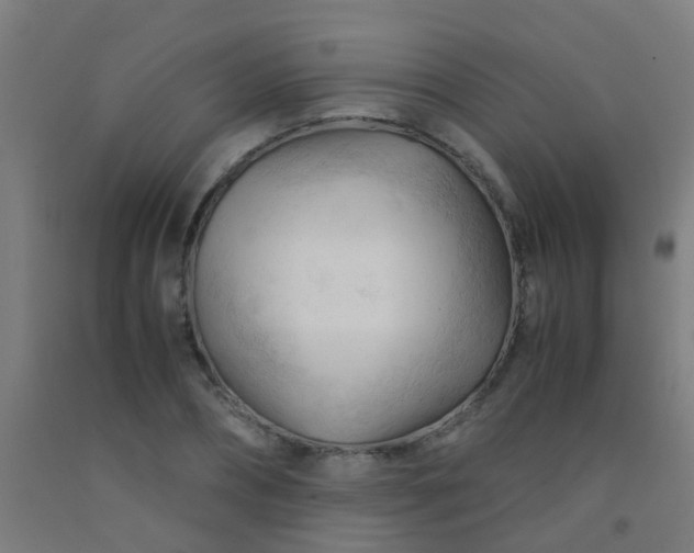 X0000092310882200709281344