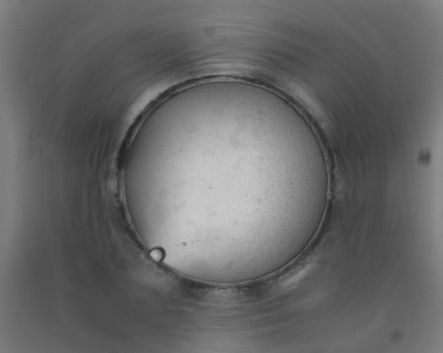 X0000092310883200709281344