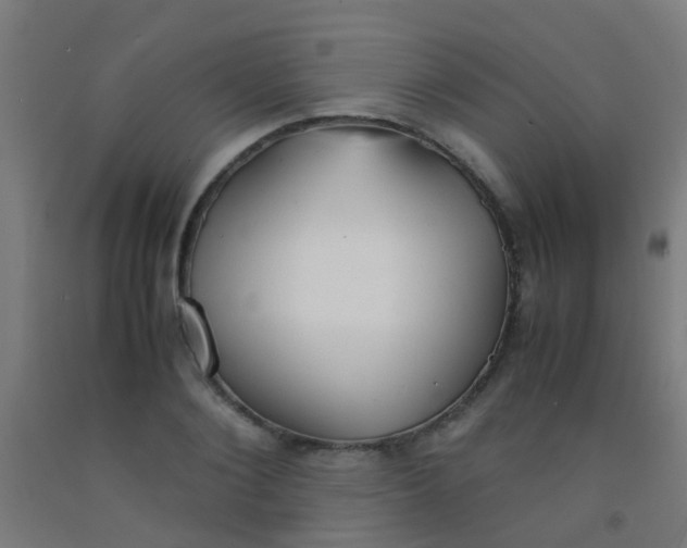X0000092310884200709281344