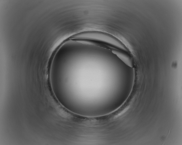 X0000092310885200709281344