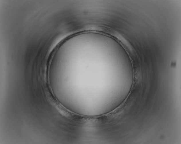 X0000092310886200709281344