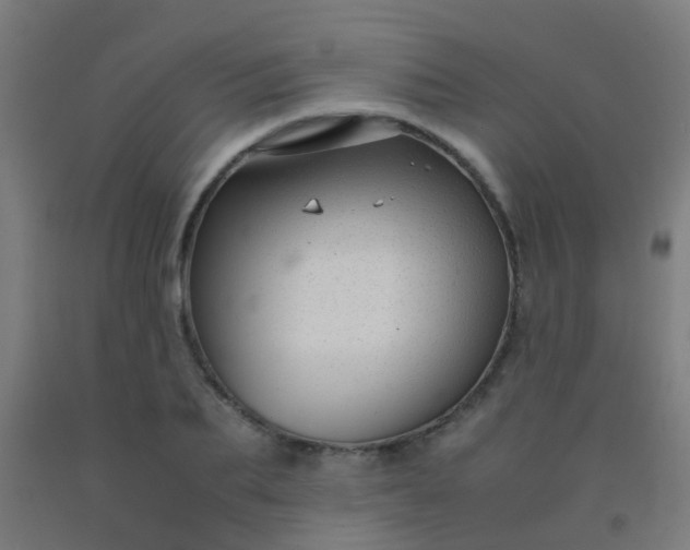 X0000092310887200709281344