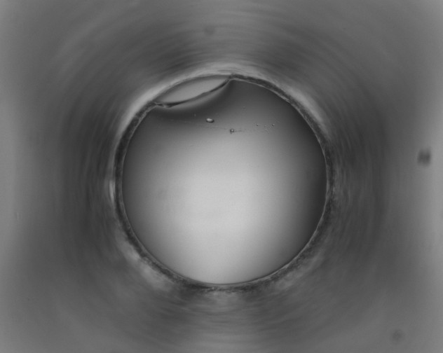 X0000092310888200709281344