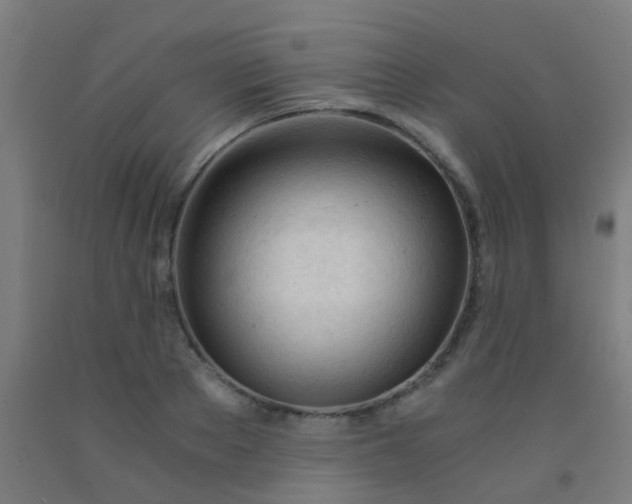 X0000092310889200709281344