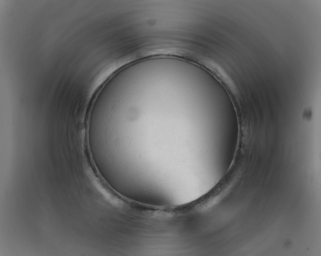 X0000092310890200709281344