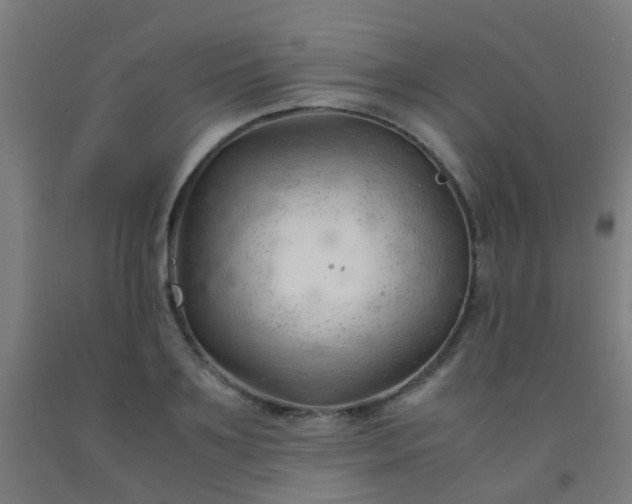 X0000092310891200709281344