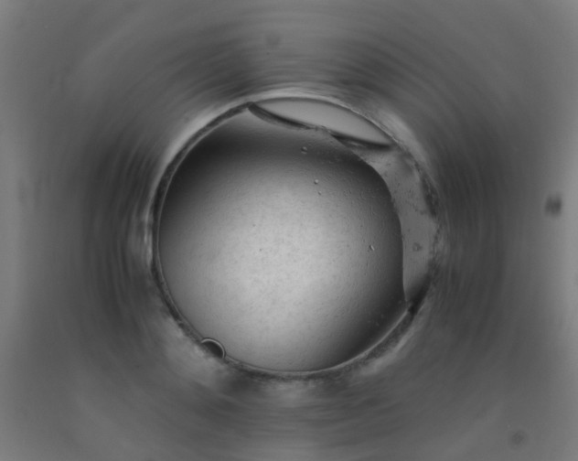 X0000092310892200709281344