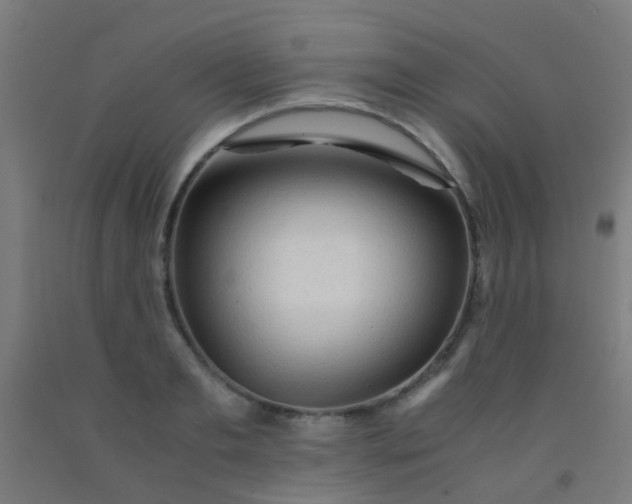 X0000092310893200709281344