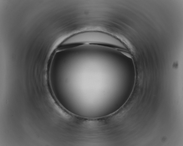 X0000092310894200709281344