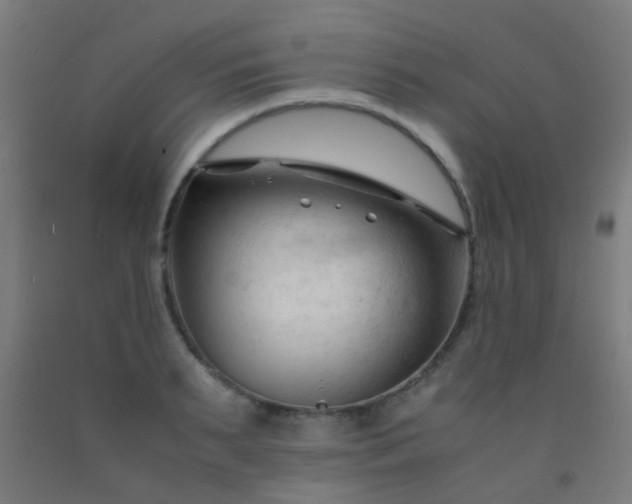 X0000092310895200709281344