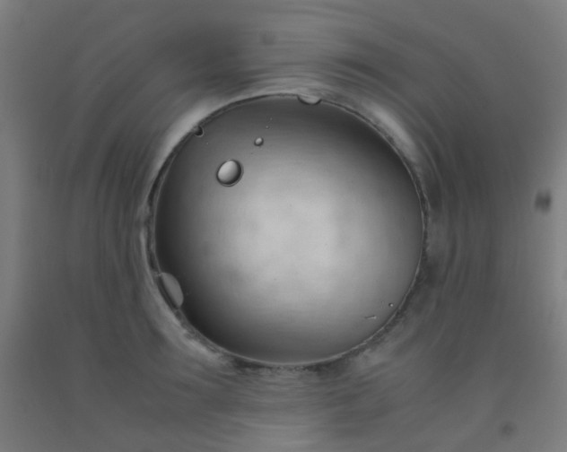 X0000092310899200709281344