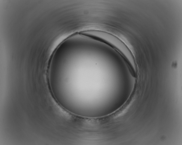 X0000092310901200709281344