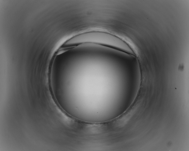 X0000092310902200709281344