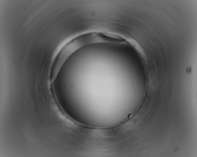 X0000092310904200709281344