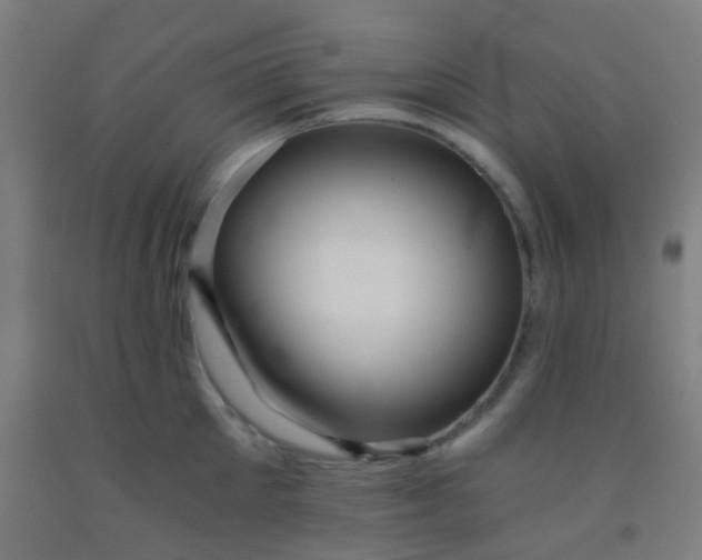X0000092310905200709281344