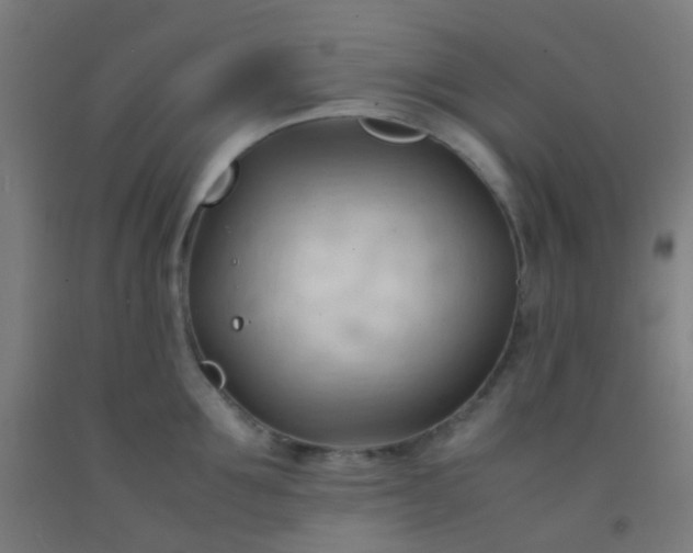 X0000092310907200709281344