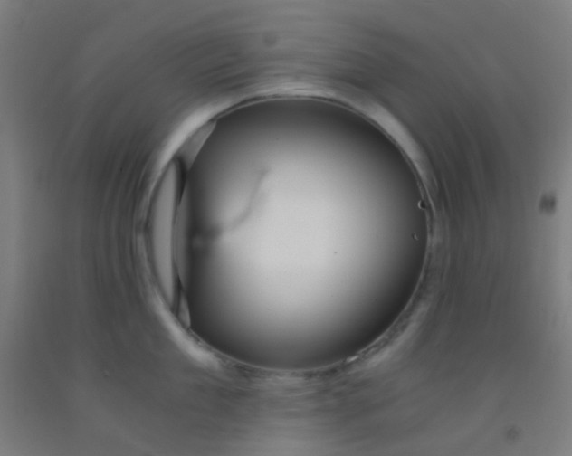 X0000092310909200709281344