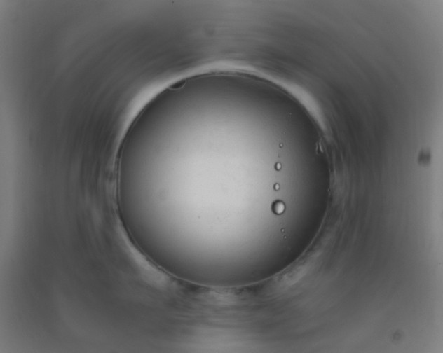 X0000092310911200709281344