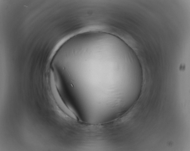 X0000092310912200709281344