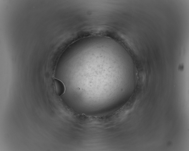 X0000092310913200709281343