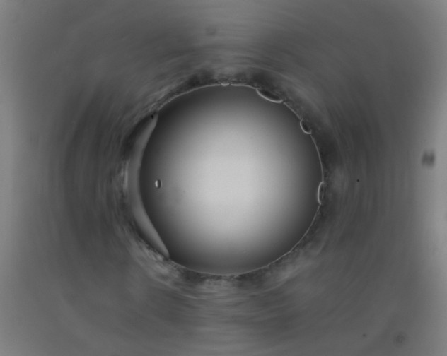 X0000092310914200709281343