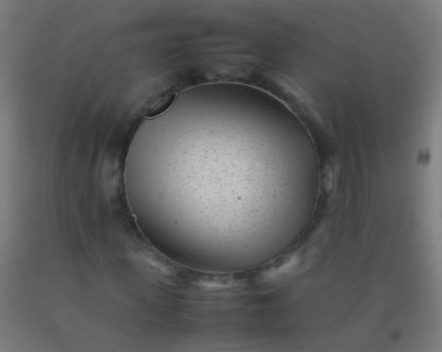 X0000092310915200709281343