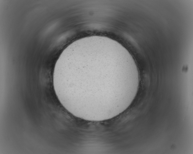 X0000092310918200709281343