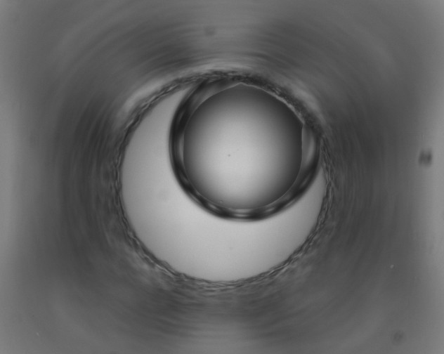 X0000092310920200709281343