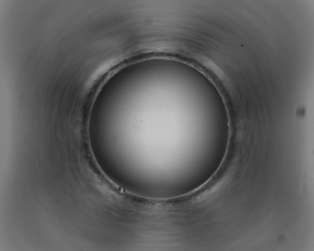 X0000092310922200709281343