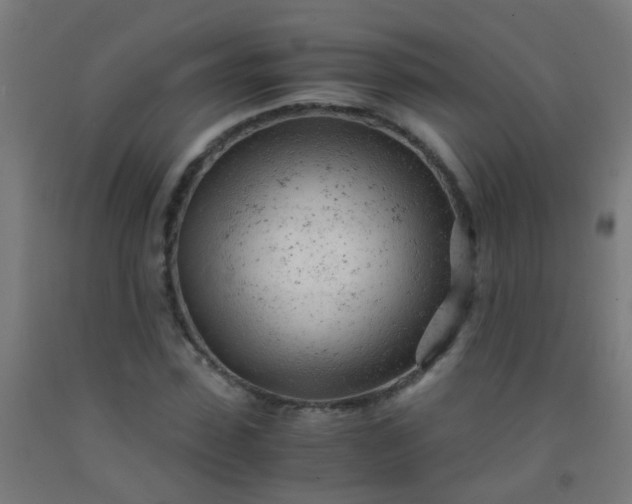 X0000092310923200709281343