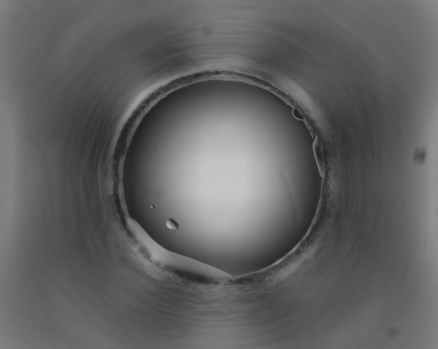 X0000092310924200709281343