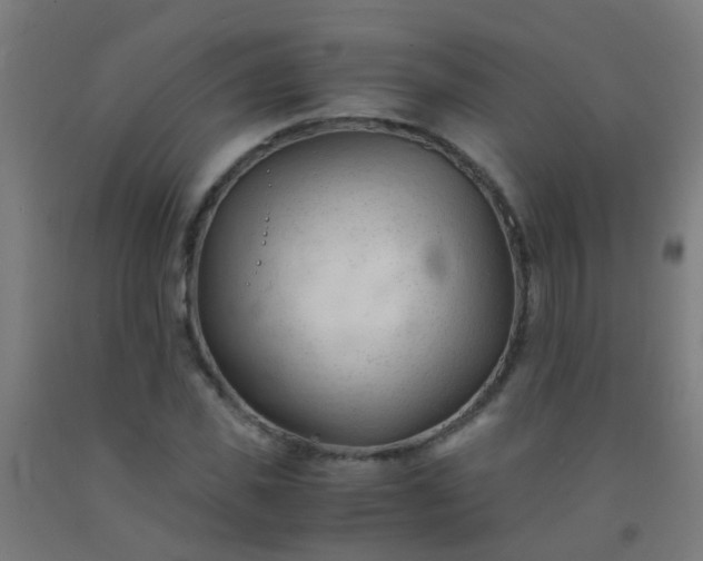 X0000092310925200709281343