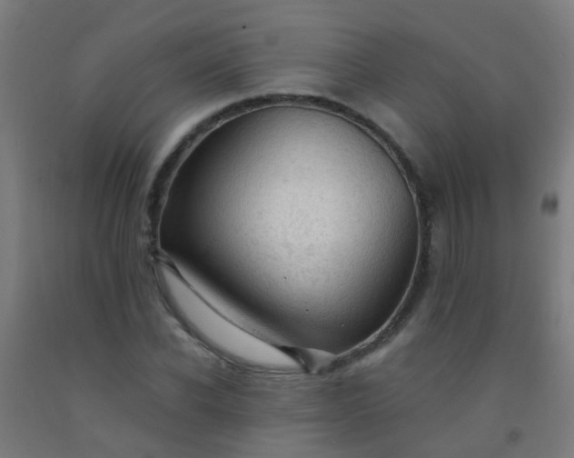 X0000092310926200709281343