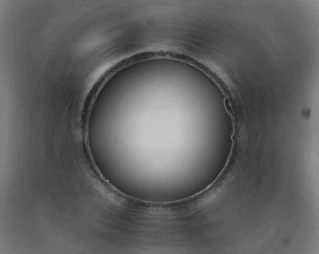 X0000092310927200709281343