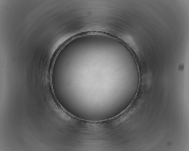 X0000092310928200709281343