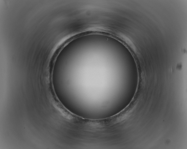X0000092310931200709281343