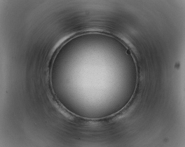 X0000092310933200709281343