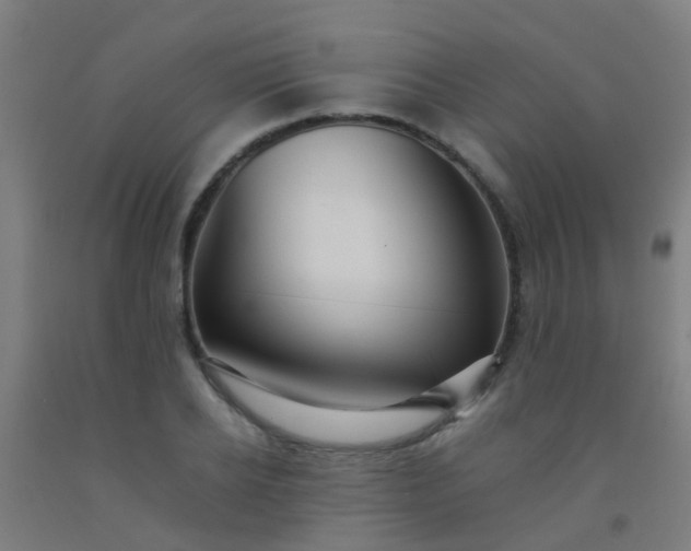 X0000092310934200709281343