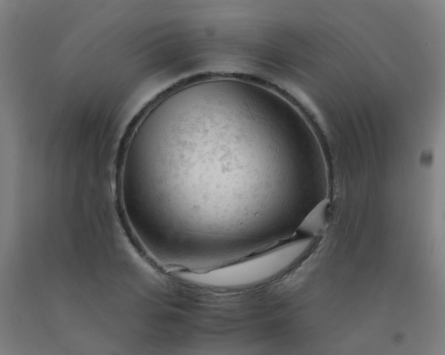 X0000092310935200709281343