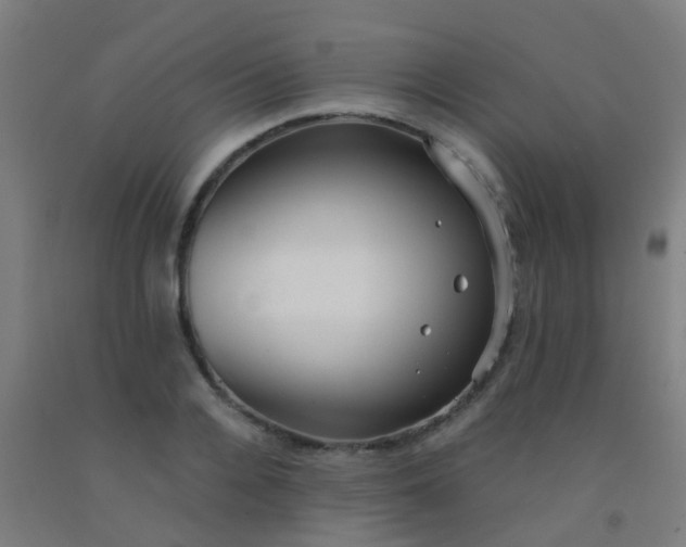 X0000092310936200709281343