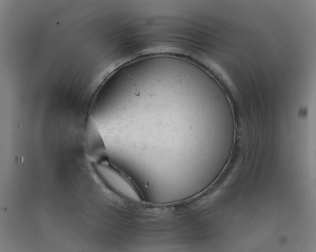 X0000092310937200709281343